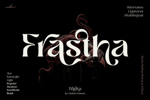 Beyond Helvetica: How Frastha and Cultural Typography are Shaping the Future of Branding