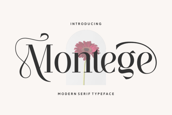 Montege: Elevating Modern Design with Timeless Serif Elegance