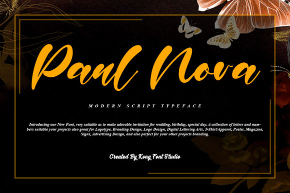 Paul Nora: A Strategic Guide to This Playful Handwritten Script Font