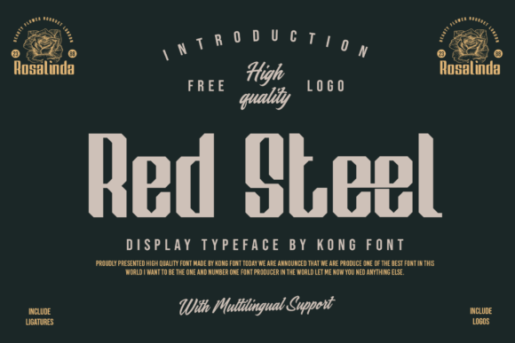 Red Steel: The Modern Handwritten Font for Creative Projects