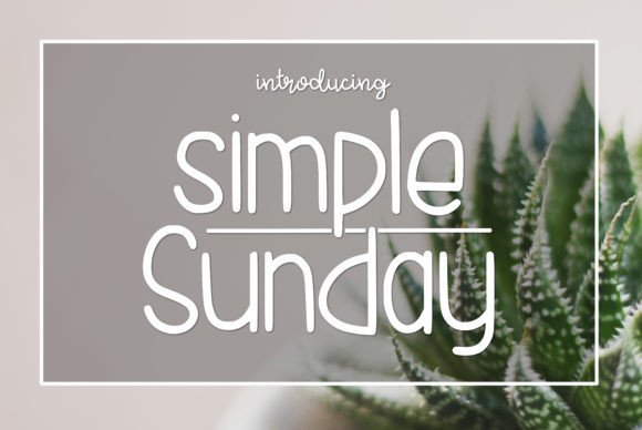 Simple Sunday: A Fresh Take on Modern Typography